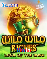 ffwin slot wild wild riches